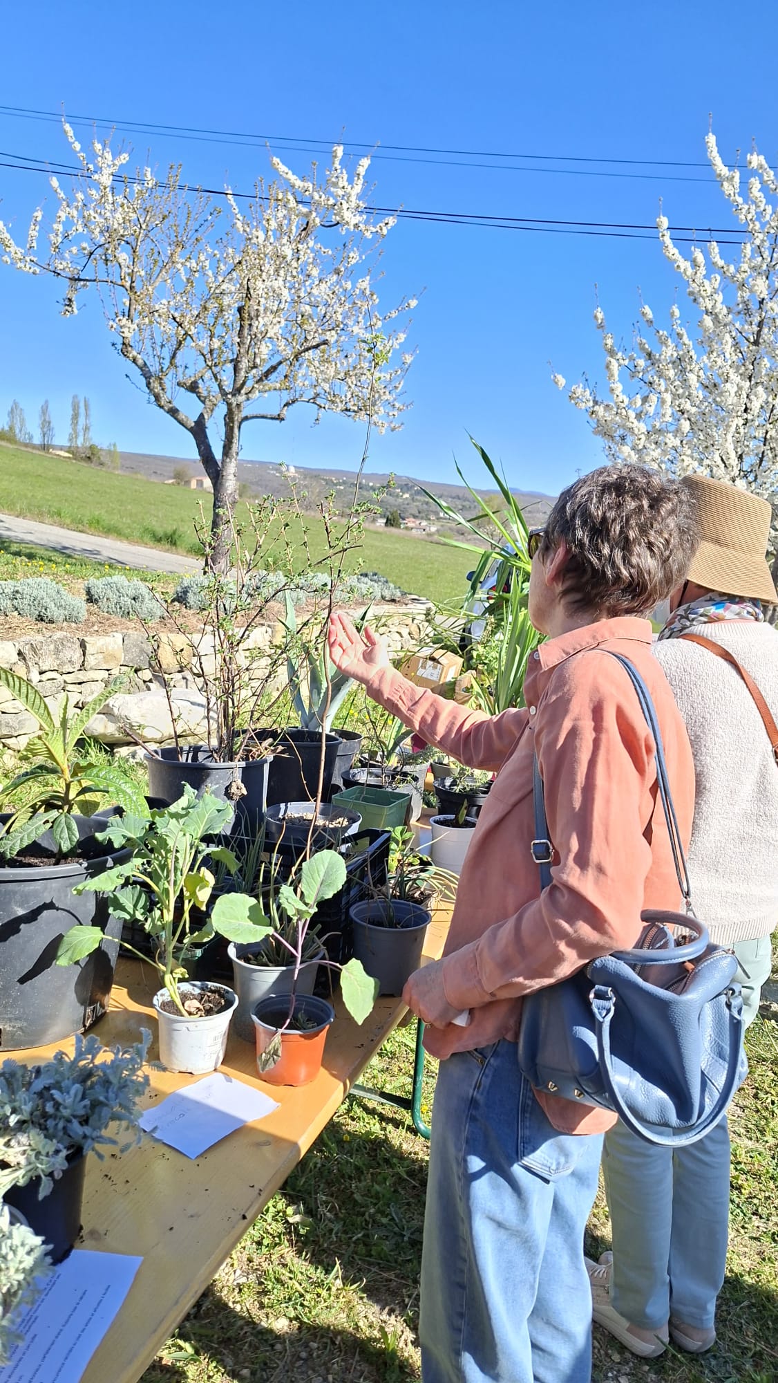 Troc Plantes du 6 avril